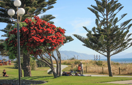 Paraparaumu Beach