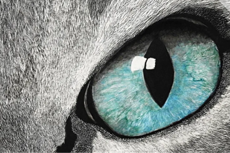 Marian Brennan Scratchboarding Artwork Cat's Eye