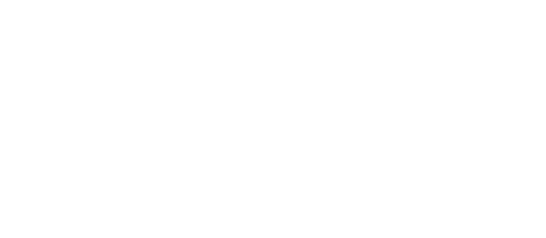 NZCT Logo