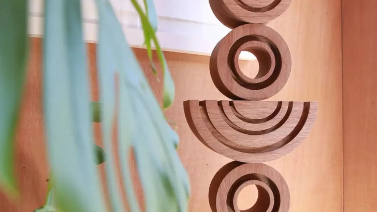 Aria 2 - new to trail - sculpture- Raumati South.jpg